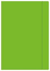 INTERDRUK Teczka z gumką A4 Fluo zielona