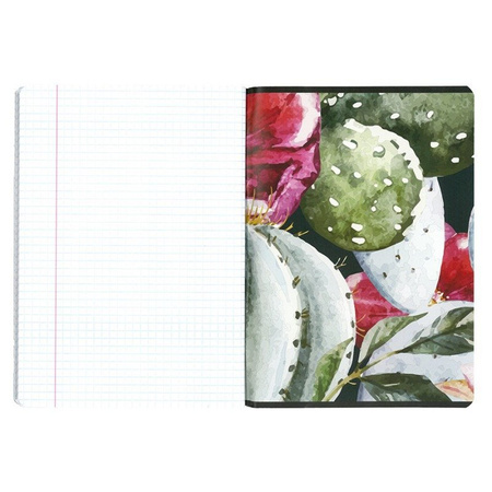 PASO Zeszyt A5/60K Krata 18-0602LO Kaktusy