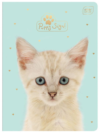 Zeszyt A5 32 kratka 70g Uv Puppy Sign Kotek Piesek