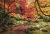Clementoni Puzzle 1500el Compact Jesienny park Autumn Park 31710