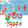 Trefl Ciało człowieka Mistrz Wiedzy Gra Edukacyjna
