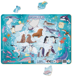 DODO Puzzle Ramkowe Mapa Antarktyda 53 el. dla Dzieci 5+