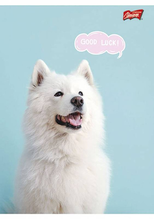 Zeszyt A5/32K kratka MIX Dziewczęcy