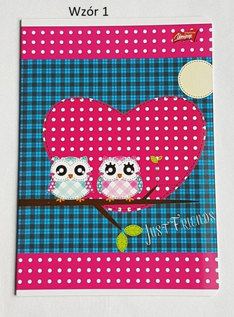 Zeszyt A5/16k Linia Dwukolorowa Seria Owls- Unipap