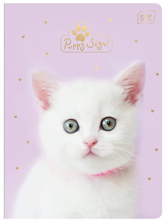 Zeszyt A5 32 kratka 70g Uv Puppy Sign Kotek Piesek