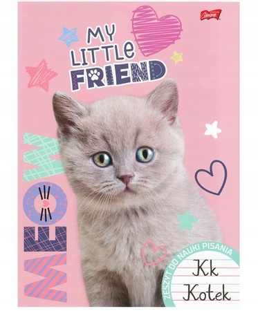 ST.Right Zeszyt do nauki pisania A4 32 k. linia podwójna dwukolorowa lam.