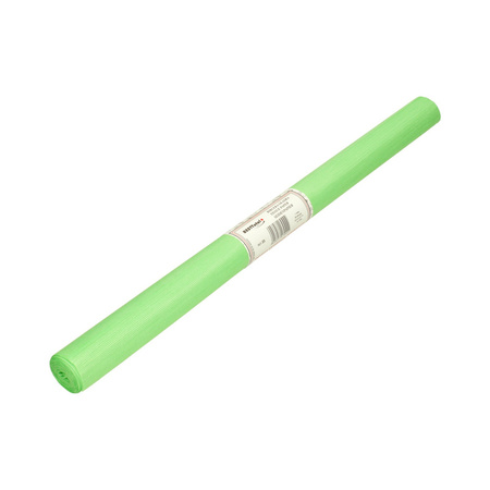 Bibuła do pakowania ozdobna gładka zielony jasny 50 x 70 cm 30 ark.