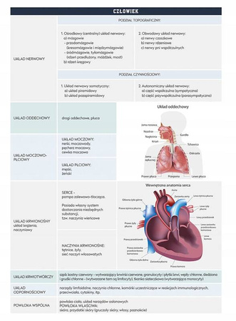 Interdruk Zeszyt tematyczny A5 60 k. kratka BIOLOGIA ściaga