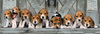 Clementoni Puzzle 1000el Panorama Beagles 39869