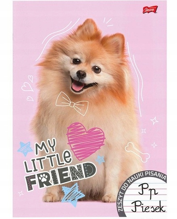 ST.Right Zeszyt do nauki pisania A4 32 k. linia podwójna dwukolorowa lam.