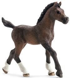 Schleich 13762 - Źrebię Rasy Arabskiej