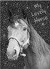 PASO Błyszczący Pamiętnik PP19KO-3660 Koń Lovely Horse