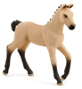 Schleich 13929 Źrebię Rasy Hanoverian Horse Club