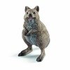 Schleich 14823 - Kuoka Krótkoogonowa